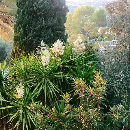 Cocon Villa Le Cannet